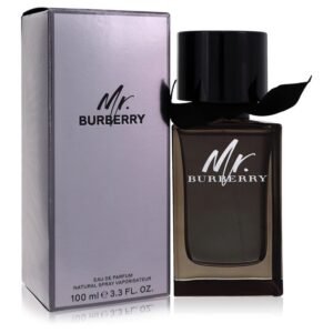 <span class="notranslate">BURBERRY MR BURBERRY</span> Eau De Parfum 3.3 oz for Men